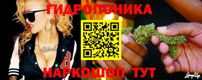 PSILOCYBIN Славянск-на-Кубани