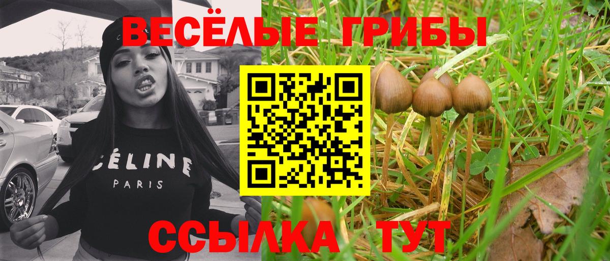 Псилоцибиновые грибы мухоморы Ногинск